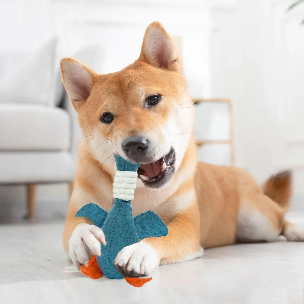 Dog Toys