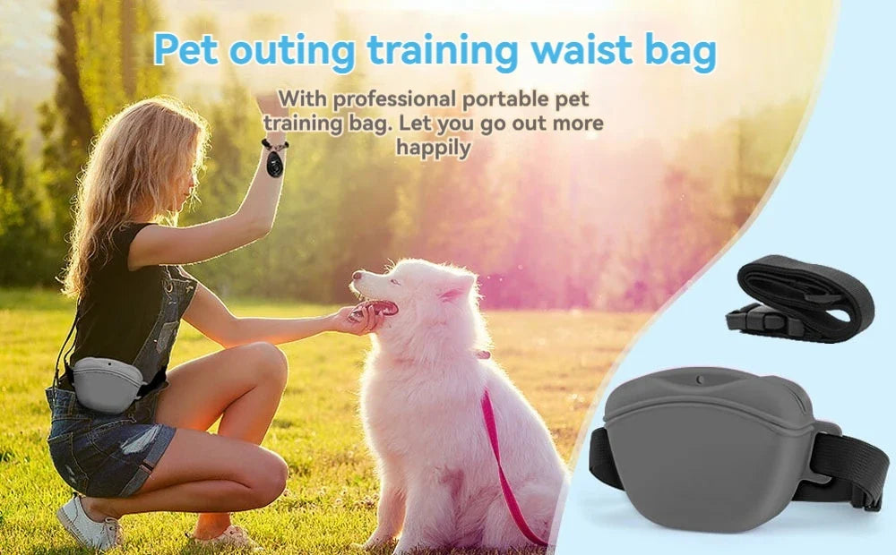Dog Training