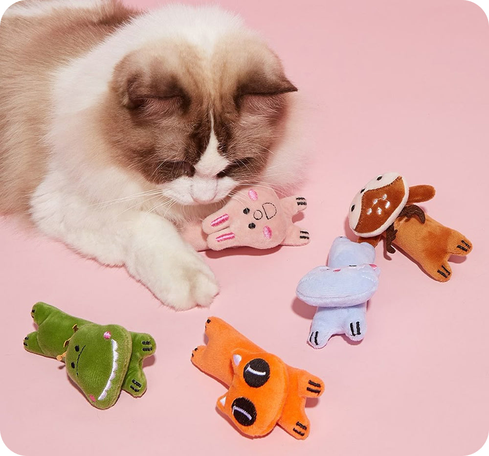 Cat Toys