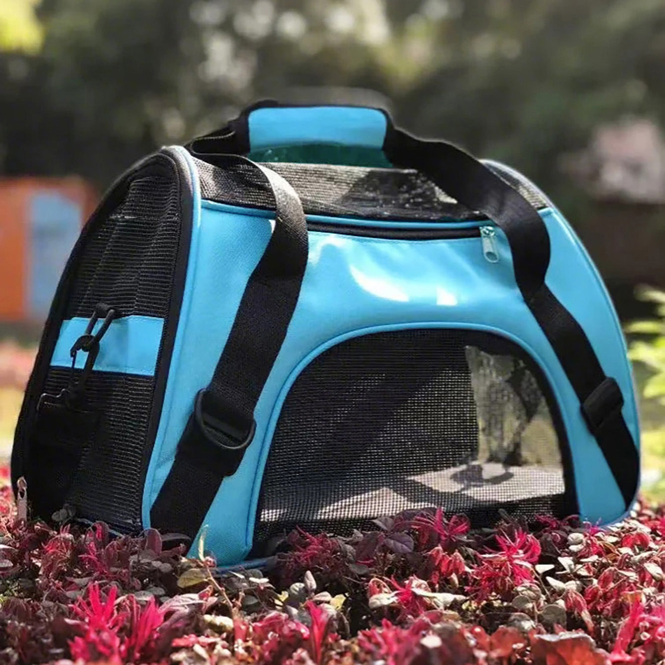 Cat Bag Pet Bag Dog Going Out Portable Portable Pack Exas-large Breathable Bag Backpack with Cage Travel Box