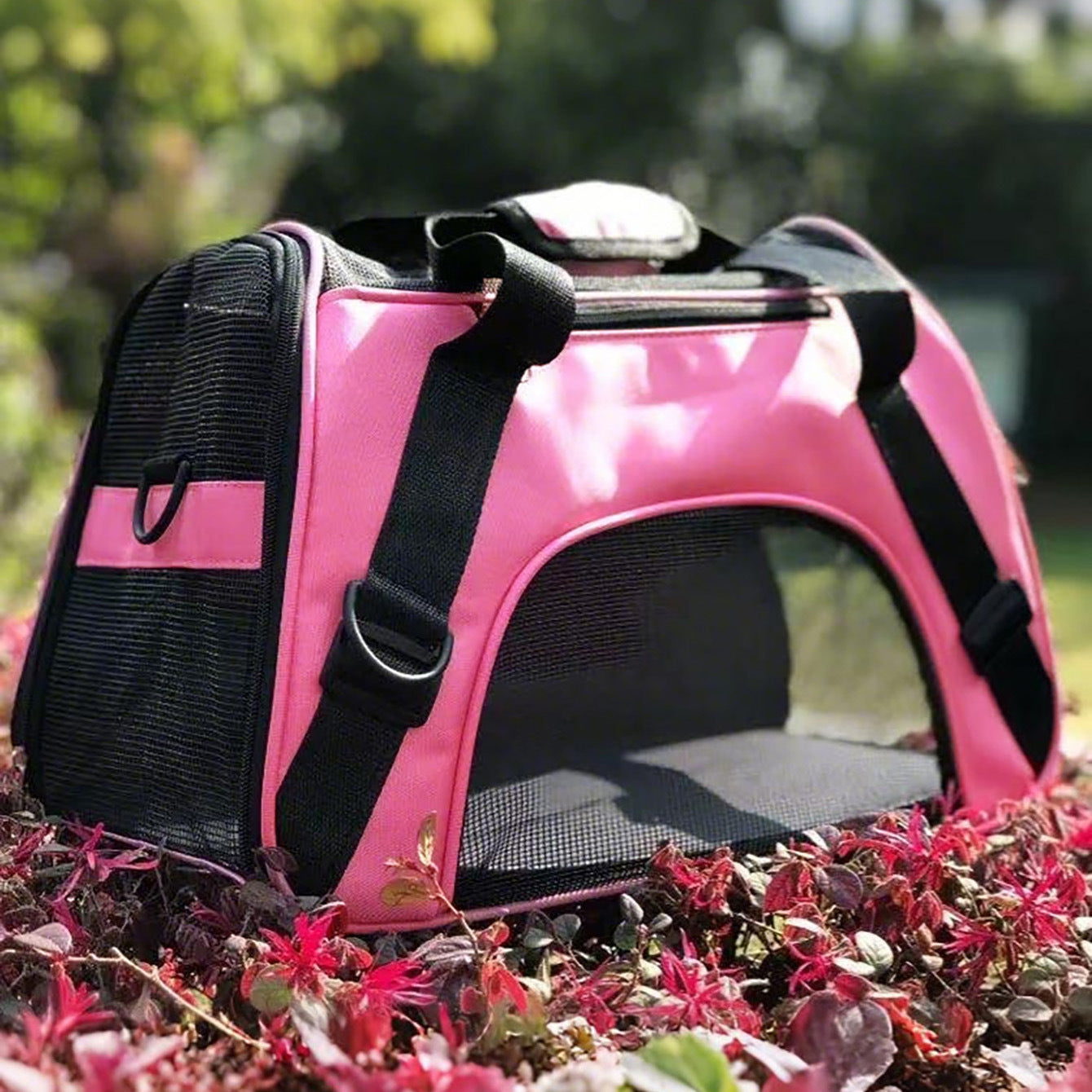 Cat Bag Pet Bag Dog Going Out Portable Portable Pack Exas-large Breathable Bag Backpack with Cage Travel Box
