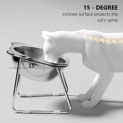 Tilted Stainless Steel Elevated Cat Bowl