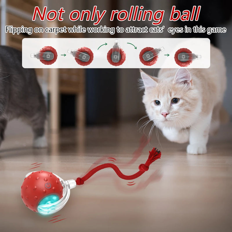Motion-Activated Bird Chirping Cat Ball Toy