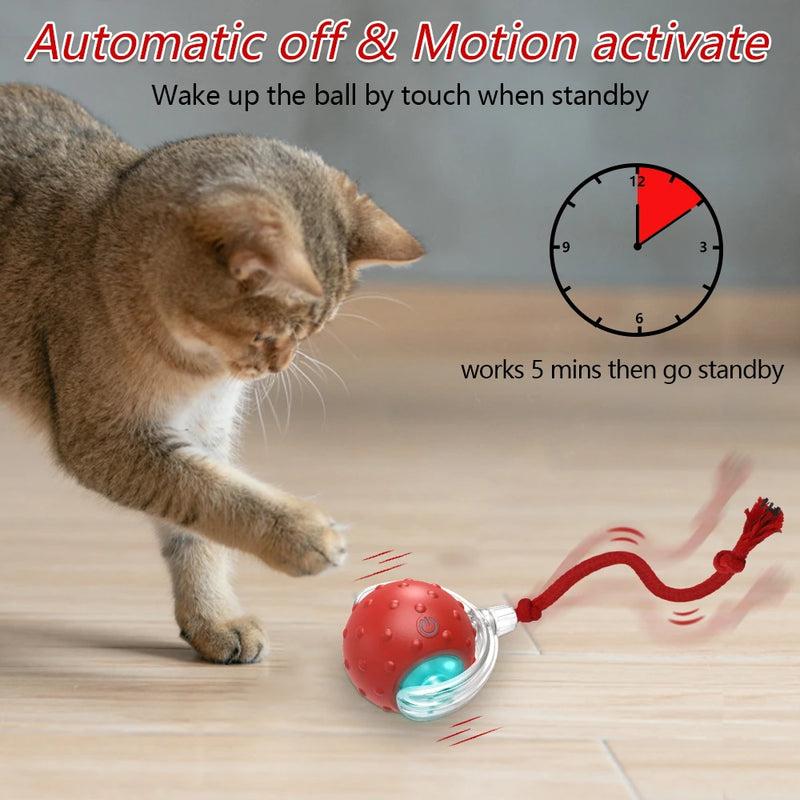 Motion-Activated Bird Chirping Cat Ball Toy