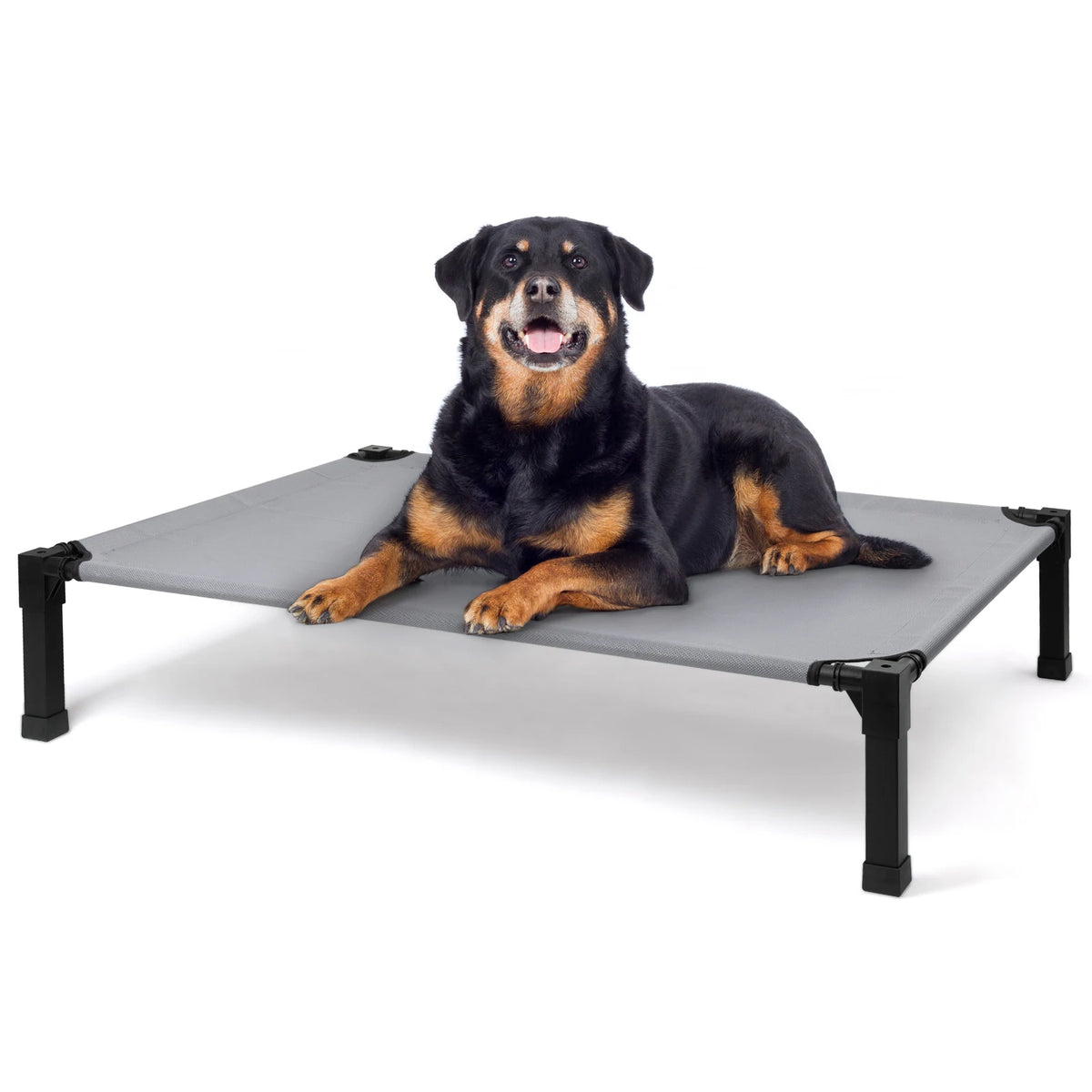 Cooling Raised Mesh Dog Cot Bed