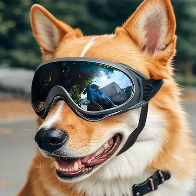 UV Windproof Dog Sunglasses Goggles