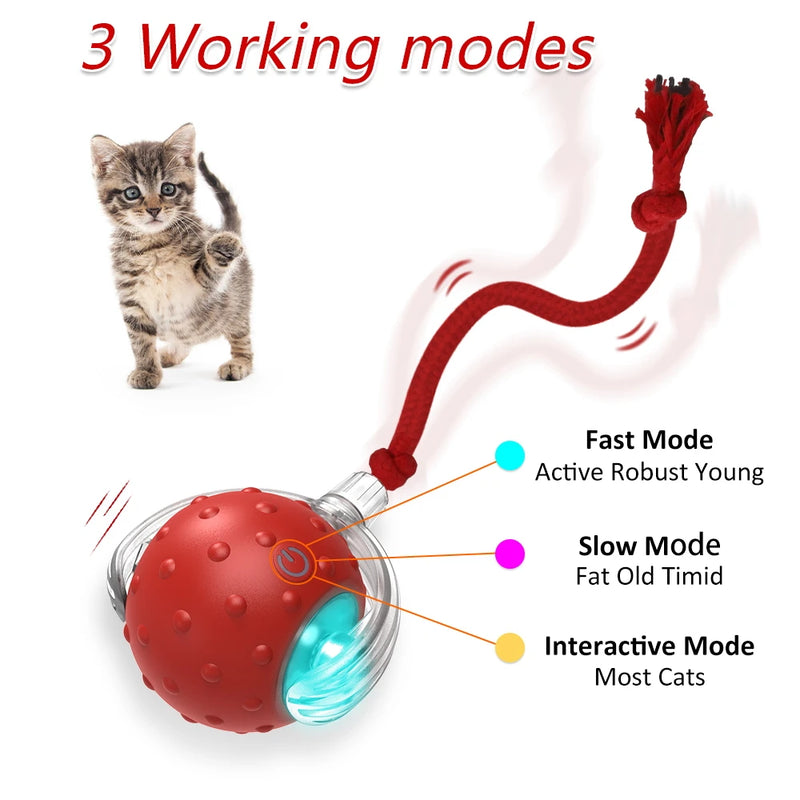 Motion-Activated Bird Chirping Cat Ball Toy