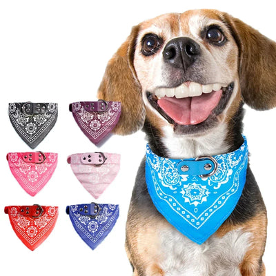 Adjustable Printed Dog Bandana Collar
